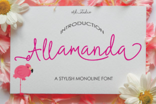 Allamanda Font: A Modern Script for Editorial Design