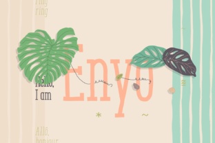 Enyo Slab: The Display Font That Sharpens Campaigns