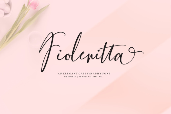 Fiolenitta: A Graceful Typeface for Branding