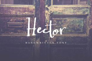 Hector Font: Elevate Your Campaign Visuals