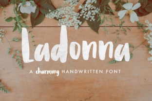 Ladonna: A Characterful Script Font for Editorial Design