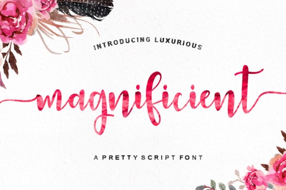 Magnificient: A Script Font for Modern Romance