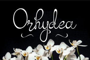 Orhydea: A Script Font for Editorial Elegance