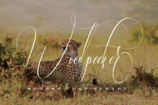 Woodpecker Font: Elevate Your Campaign Visuals